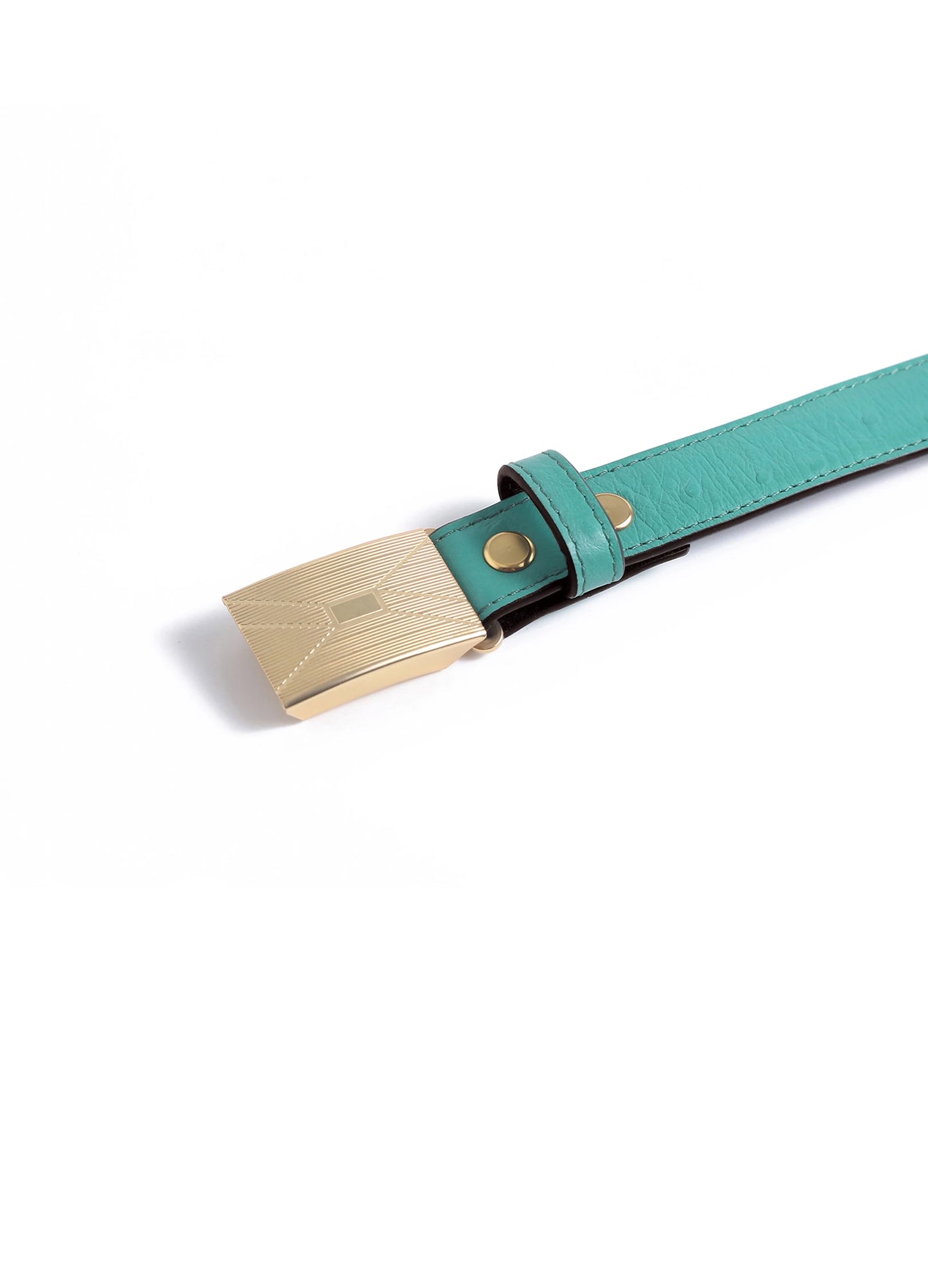 Brass Buckle Belt