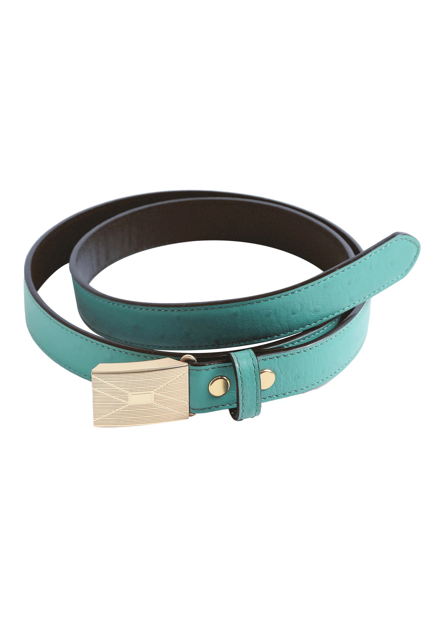 Brass Buckle Belt