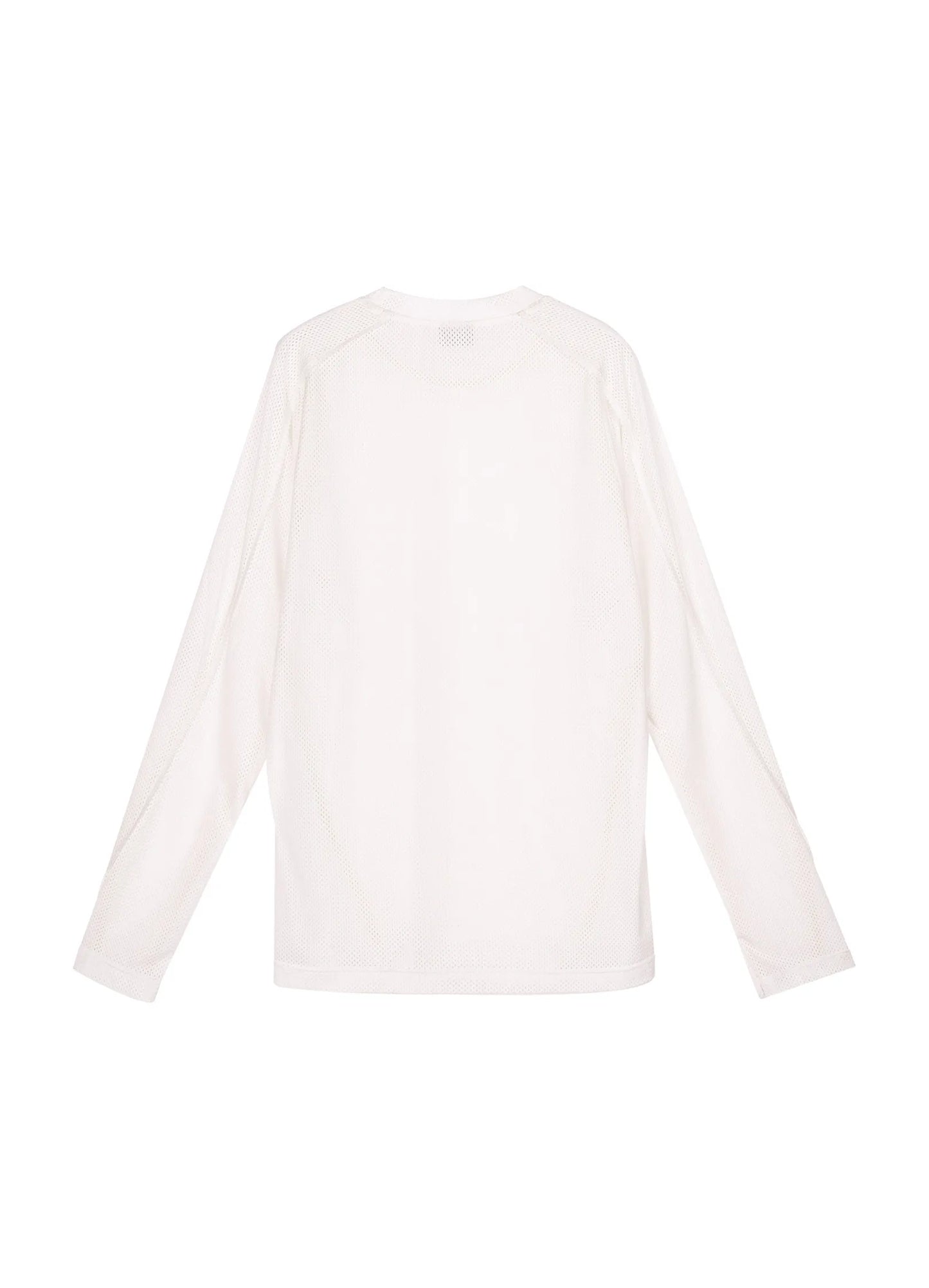 Lace Mesh Longsleeve