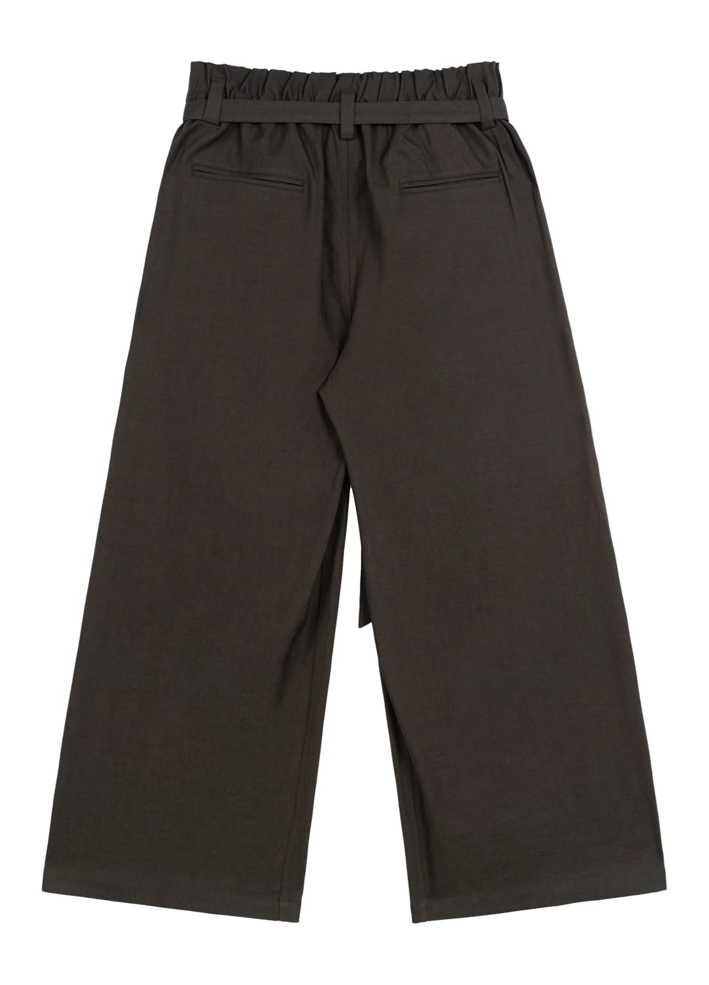 Wide Pleated Stretch Trousers