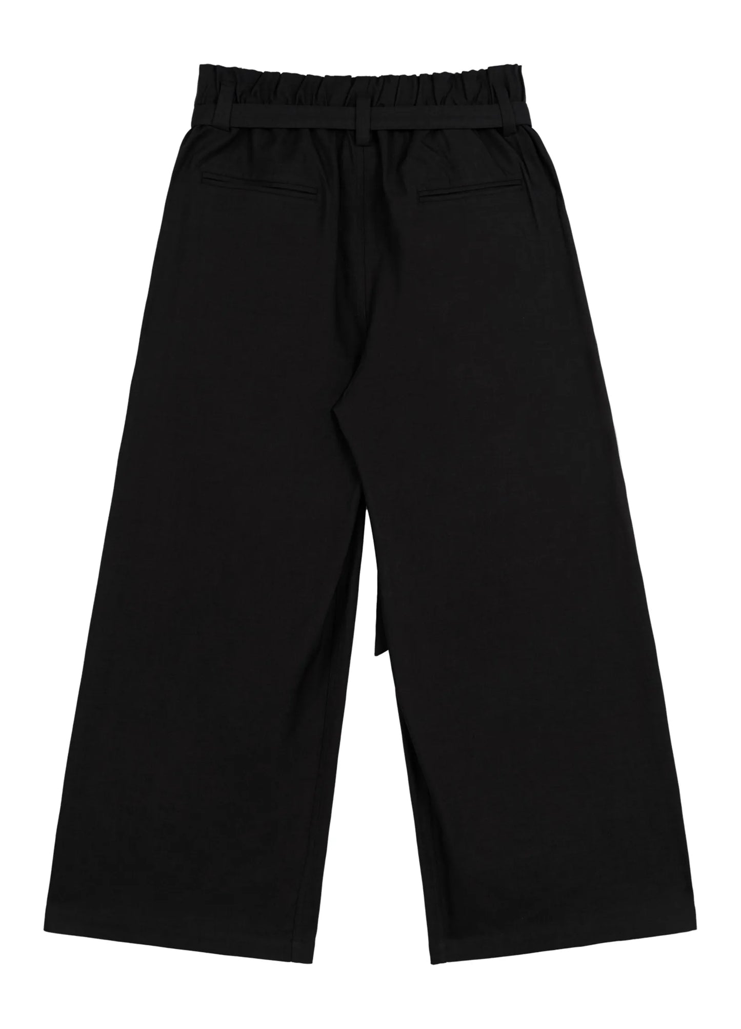 Wide Pleated Stretch Trousers